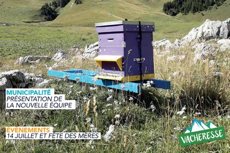 Journal Municipal N°36 Journal Municipal N°36